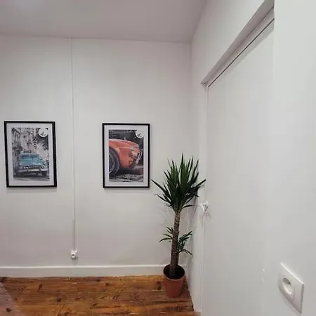 Appartement De Charme Avec Tomettes Et Parquet Graulhet Exterior photo